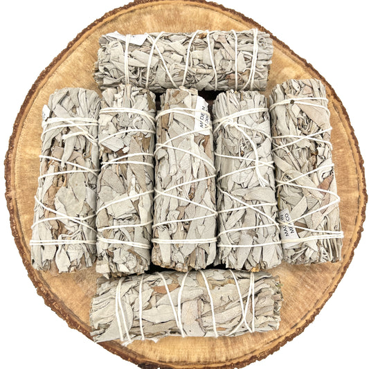 California White Sage 4"