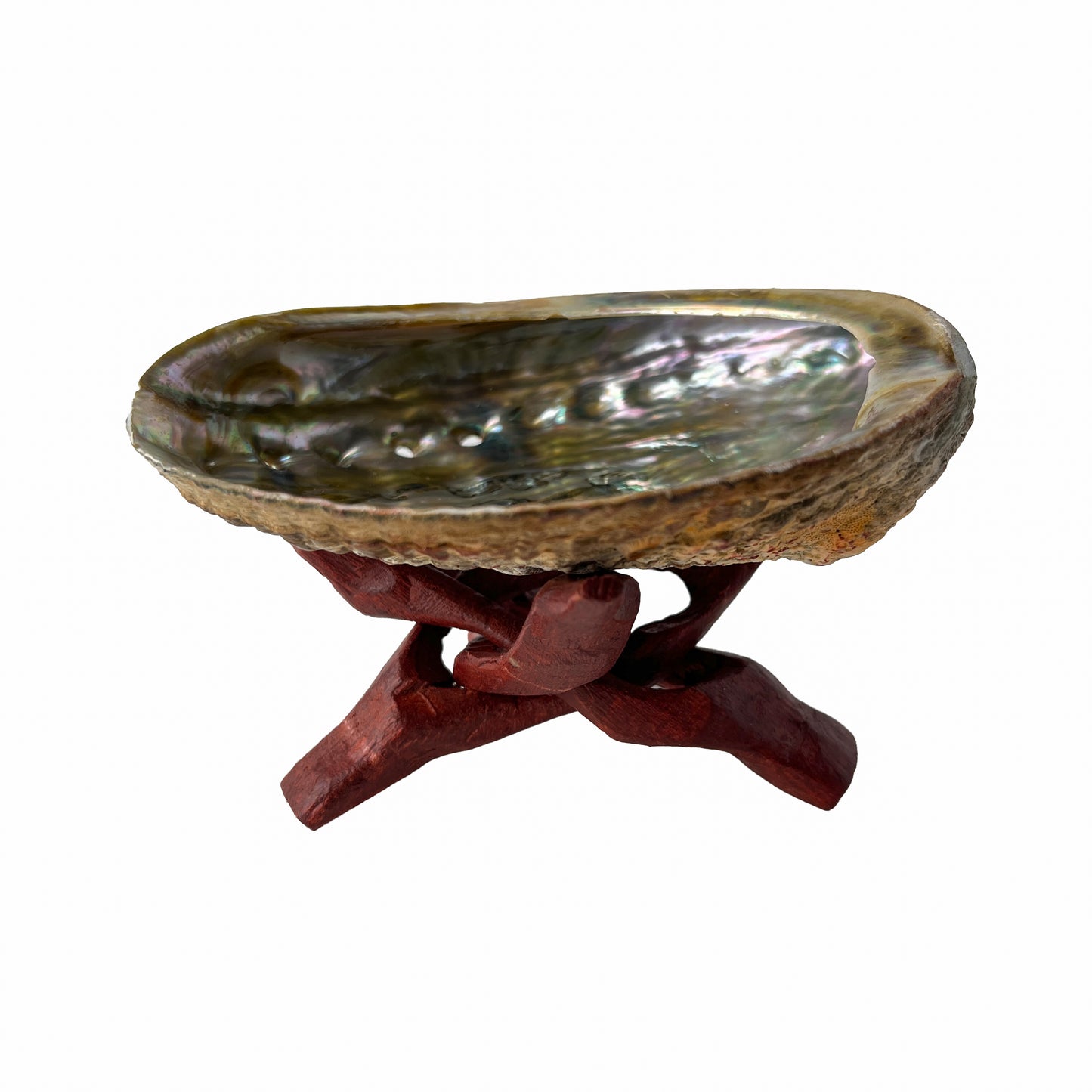 Abalone Shell with Wooden Stand