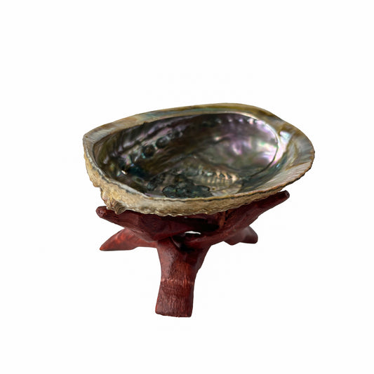 Abalone Shell with Wooden Stand