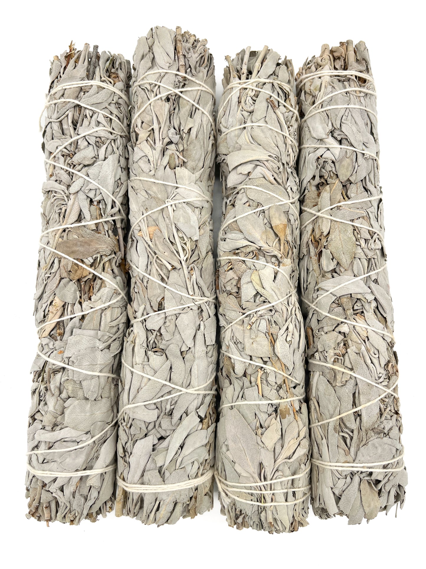 California White Sage 8-9"