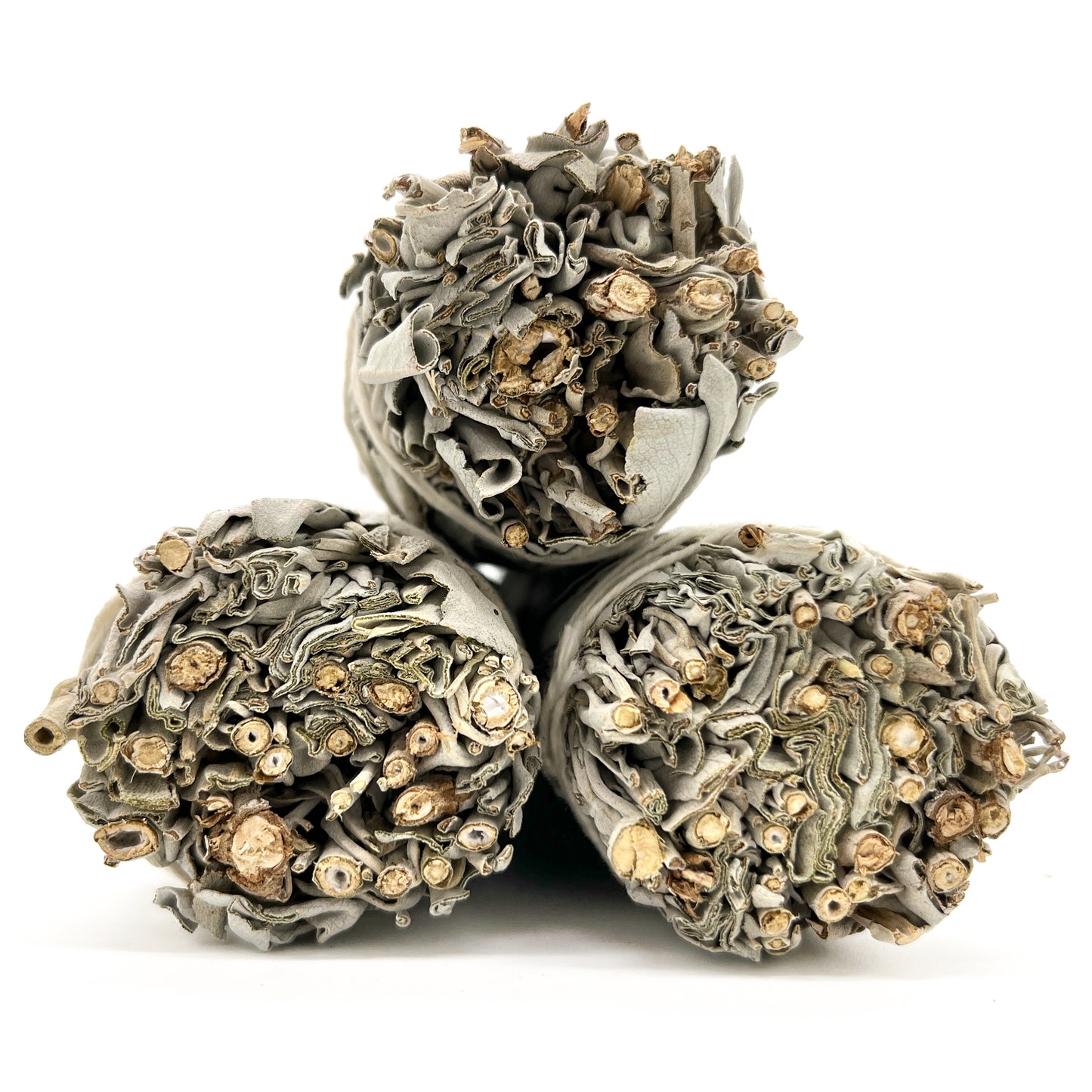 California White Sage 8-9"