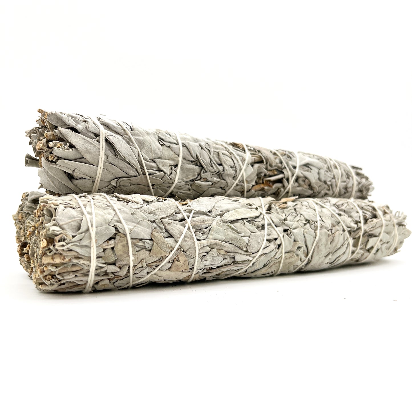 California White Sage 8-9"