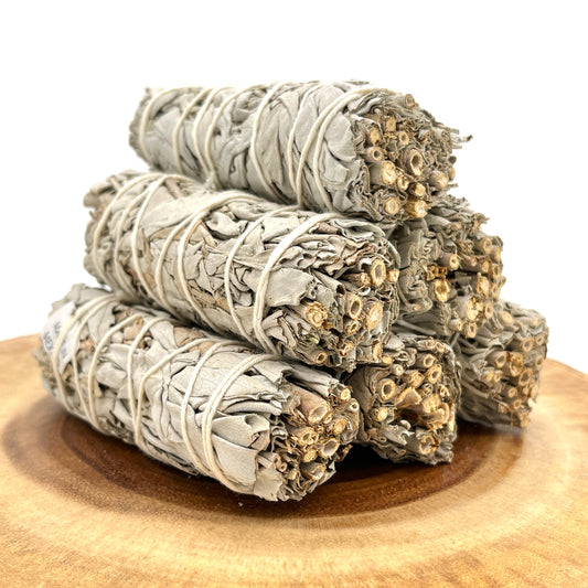 California White Sage 4"